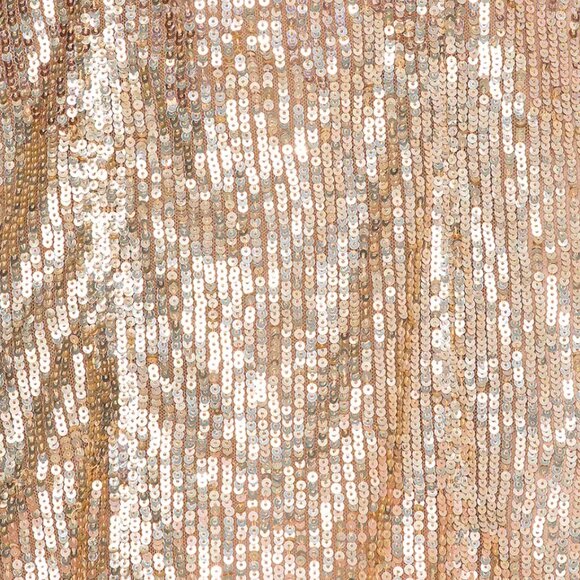 Reve Riche Maida Midi Sequins Dress in Champagne Size XXS NEW with Tags - Picture 5 of 6